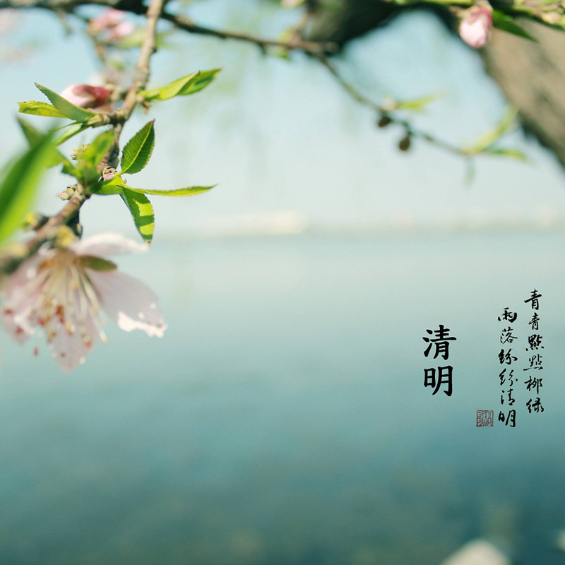防靜電中空板