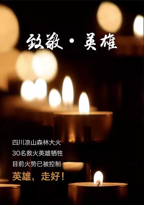 中空板